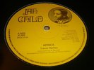 Trevor Hartley Africa Killer Rare Roots 12