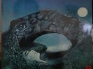Ralph Lundsten Cosmic Love Swedish Electronic LP HEAR