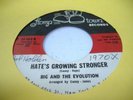 HEAR Rare Northern Soul Garage 45 BIG & THE EVOLUTION