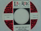 GERRY AND THE PACEMAKERS How Do You Do It DJ Promo 45
