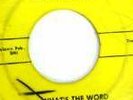 Rockabilly Surf 45  The Thunder Rocks What's The Word
