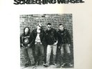 Screeching Weasel cover Ramones Record Test Pressing
