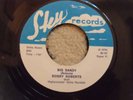 BOBBY ROBERTS Big Sandy 70's RE Sky Record 45rpm SINGLE