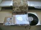 Joseph Arthur: Our Shadows will remain. +Limited Single