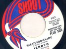 SHOUT 45 KARATE-BOO-GA-LOO/THE PEARL JERRYO promo ?