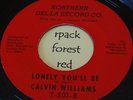CALVIN WILLIAMS - It Won't Matter At All -  Local issue
