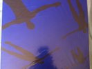SUPER RARE MUSE ABSOLUTION ALBUM PROMO VINYL - SEALED