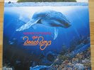 BEACH BOYS - Summer In Paradise LP  RARE KOREA LP  W/IN