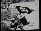 ISD RAC OI VINYL ORIGINAL HAIL THE NEW DAWN PUNK KBD