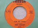 Jerry Waugh & The Skeptics-For My Own RARE GARAGE 45