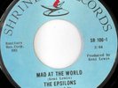 rare Soul 45 EPSILONS mad at the world SHRINE