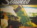 SEAWEED SPANAWAY LP