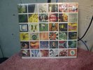 Pearl Jam - No Code OOP all inserts nice copy