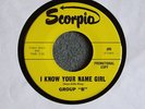 TEFTELLER GARAGE Group B Obscure Pre Blue Cheer HEAR IT