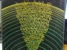 BOX SET 2LP+7