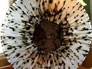This Will Destroy You 12