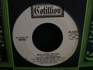 Velvet Underground Who Loves The Sun PROMO 45 Mono/Ster