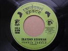 Iration Steppas Featuring tena stelin 7