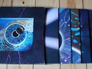 PINK FLOYD Pulse - 4 LP-Box + Book - Vinyl