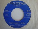 TERRI GOODNIGHT They Didnt Know 45 RARE Northern soul