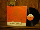 The Pharaohs Awakening  Og Afro Funk LP  Rare Plays EX