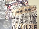 GAUZE Genkai LP kbd Punk Japan GISM EXECUTE LIP CREAM