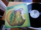 CATAPILLA SAME LP IN 1971 MINT  SWIRLI