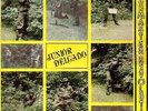 Original JR. DELGADO LP- BUSHMASTER REVOLUTION- Jux ?