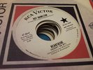 M- 45 Northern Roy Hamilton RCA Promo Heartache Truth