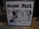 bone awl - not for our feet PIC LP ashdautas volahn