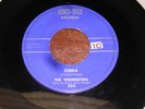 Youngsters / Danny Zella 60s POP ROCK DETROIT 45 Zebra