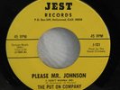 RARE 45 - PUT ON COMPANY/ Doug Salma PLEASE MR. JOHNSON