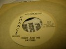 TERA RARE Psych 45  - TEDDY AND HIS PATCHES - Suzy