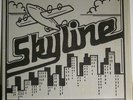 SKYLINE Private Modern Soul LP 1987 in shrink RARE MP3s