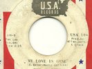 SHADOWS RARE NORTHERN SOUL MY LOVE IS GONE U.S.A. DEMO