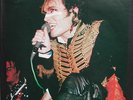 Adam Ant Adam and the Ants A.N.T.S double LP