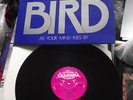 Rare Bird As Your Mind Flies By UK 1st Press LP OOP