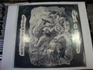 STORMTROOPER ARMIES OF THE NIGHT US POWER METAL