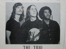 THE TRIO A Splendid LP Private Press High School Psych