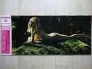 NUDE IN THE NIGHT 2 JAPAN PROMO LP / SEXY NUDE COVER,EX