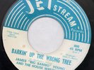 JAMES YOUNG Barkin' Up the Wrong Tree RARE funk 45