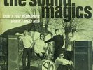 SOUND MAGICS - AMAZING DUTCH '66 FOLK BEAT 45 HEAR