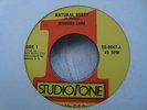 Jennifer Lara Natural Misty Studio One 7
