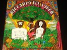 Riccardo del Turco  '70 Italian PROG LP CGD NM