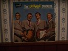 Buddy Holly The 