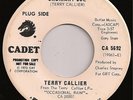 TERRY CALLIER-Ordinary Joe 45 NORTHERN SOUL-PROMO MP3