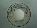 BILL HORTON/SILHOUETTES Never Part 45 VG ACE R&B RARE