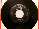 45 POPCORN Northern LENNY MILES Living Dream RCA-- HEAR