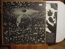NEIL YOUNG & PEARL JAM Mirror Ball 2x LP w/ insert VG+