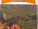 Broilers - La Vida Loca Vinyl - ORANGE - NEU - Punkrock